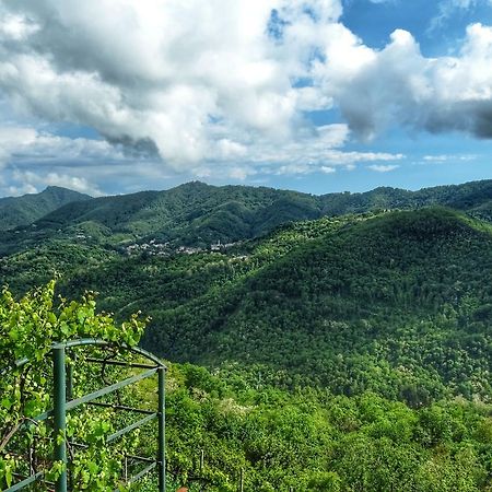 Bed And Breakfast Le Quattro Stagioni Neirone Bagian luar foto